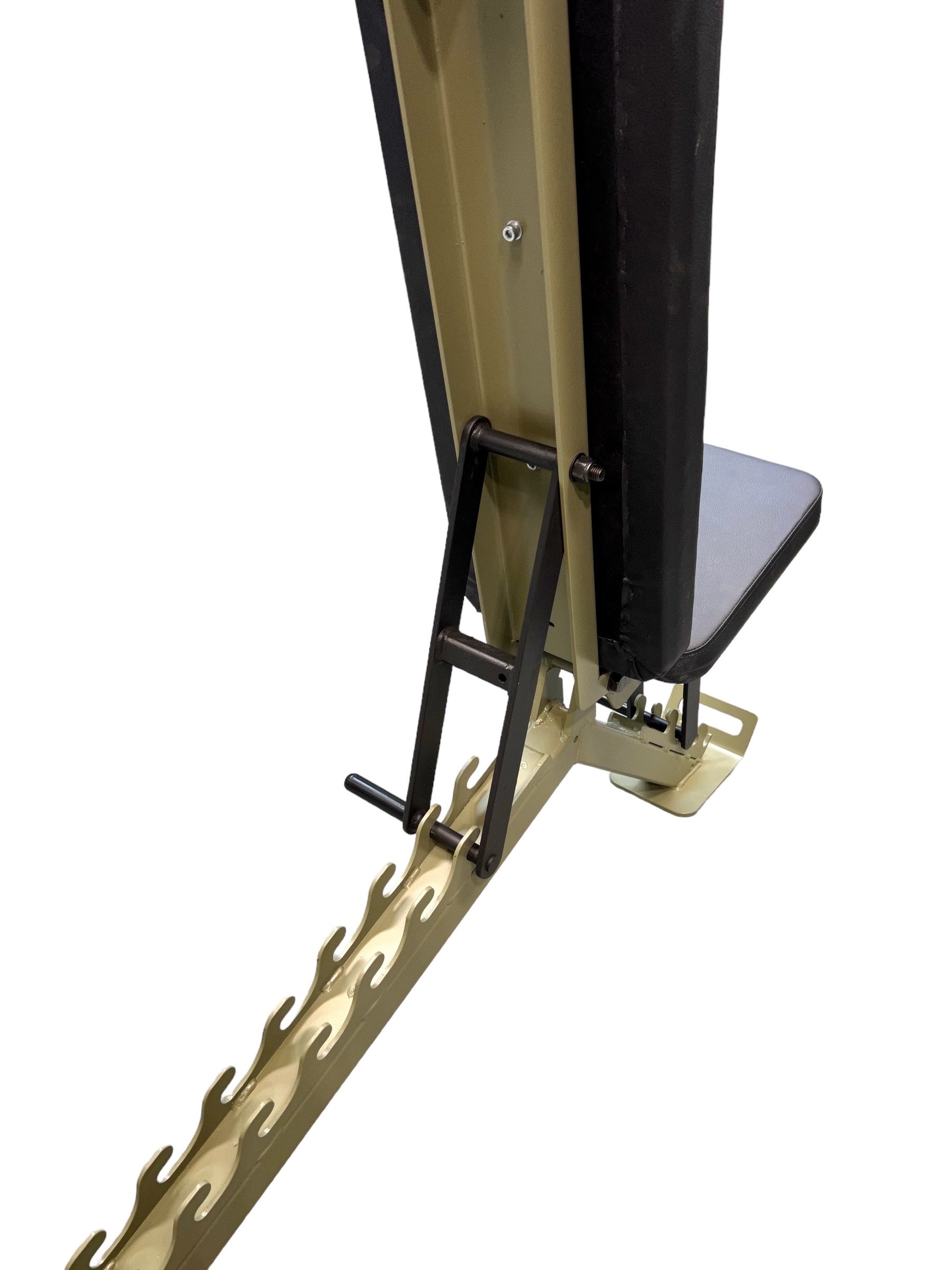 Adjustable Bench (Decline Leg Roller Attachment Compatible) 16